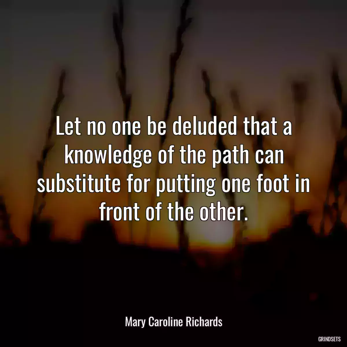 Let no one be deluded that a knowledge of the path can substitute for putting one foot in front of the other.