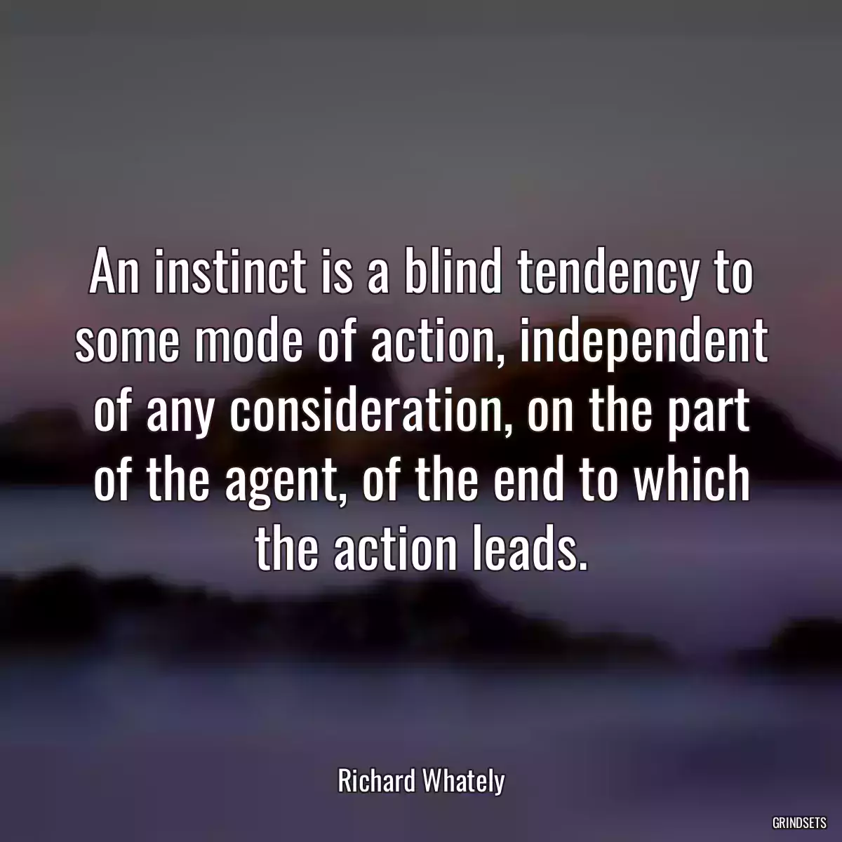 An instinct is a blind tendency to some mode of action, independent of any consideration, on the part of the agent, of the end to which the action leads.