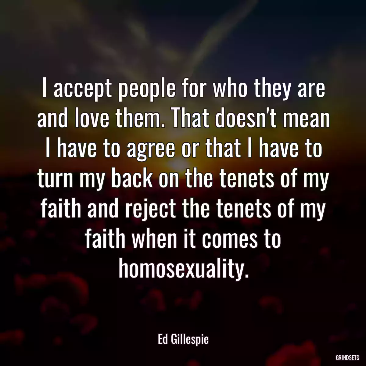 I accept people for who they are and love them. That doesn\'t mean I have to agree or that I have to turn my back on the tenets of my faith and reject the tenets of my faith when it comes to homosexuality.