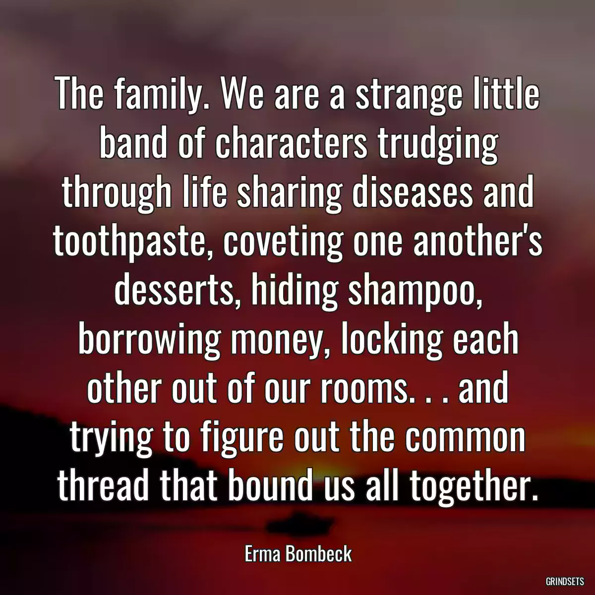 The family. We are a strange little band of characters trudging through life sharing diseases and toothpaste, coveting one another\'s desserts, hiding shampoo, borrowing money, locking each other out of our rooms. . . and trying to figure out the common thread that bound us all together.