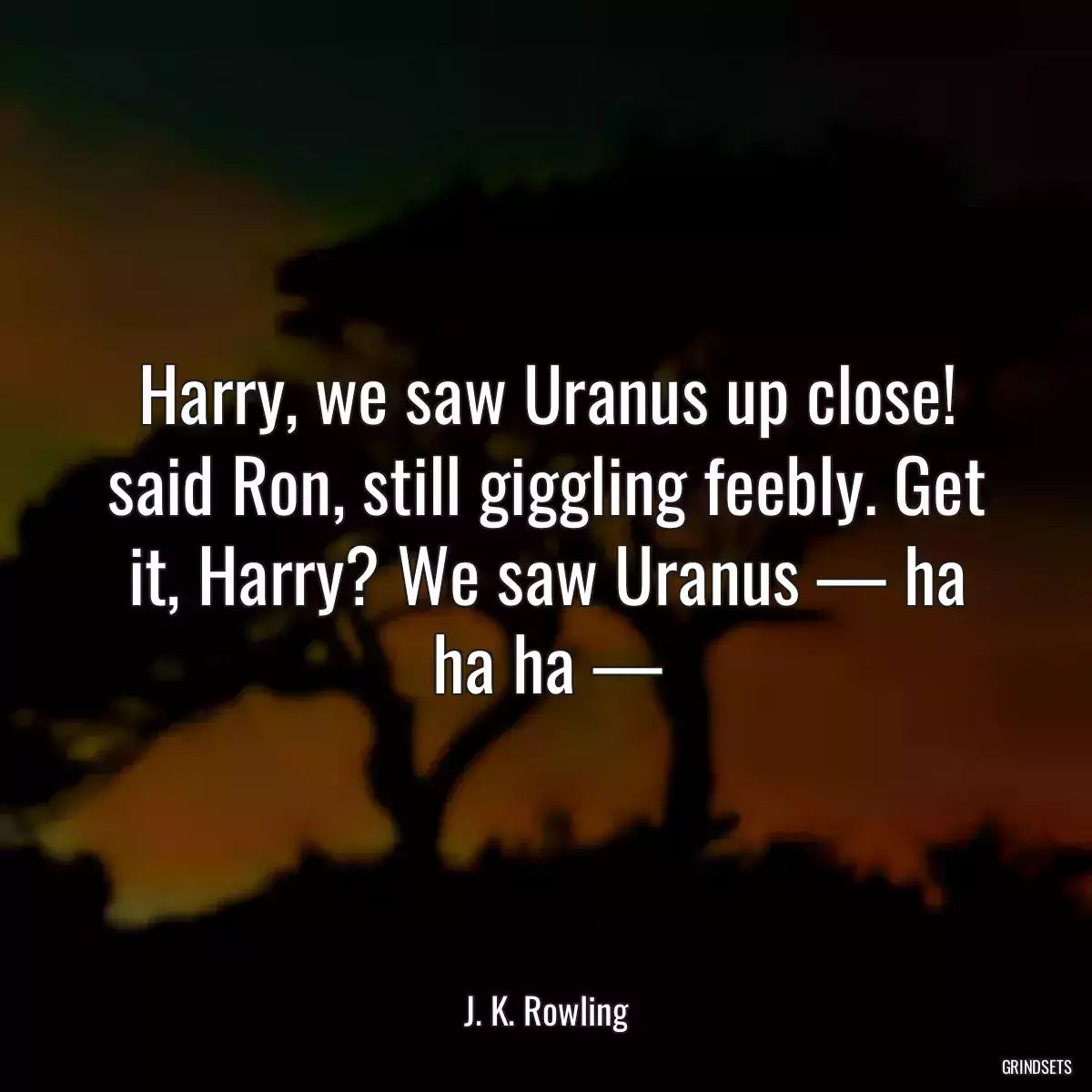 Harry, we saw Uranus up close! said Ron, still giggling feebly. Get it, Harry? We saw Uranus — ha ha ha —