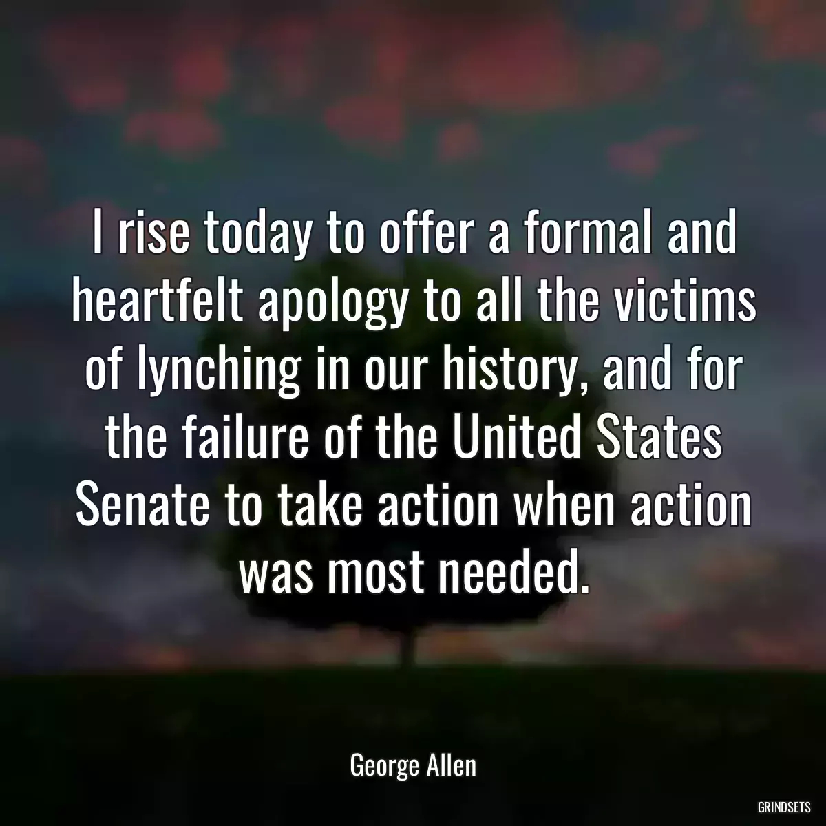 I rise today to offer a formal and heartfelt apology to all the victims of lynching in our history, and for the failure of the United States Senate to take action when action was most needed.