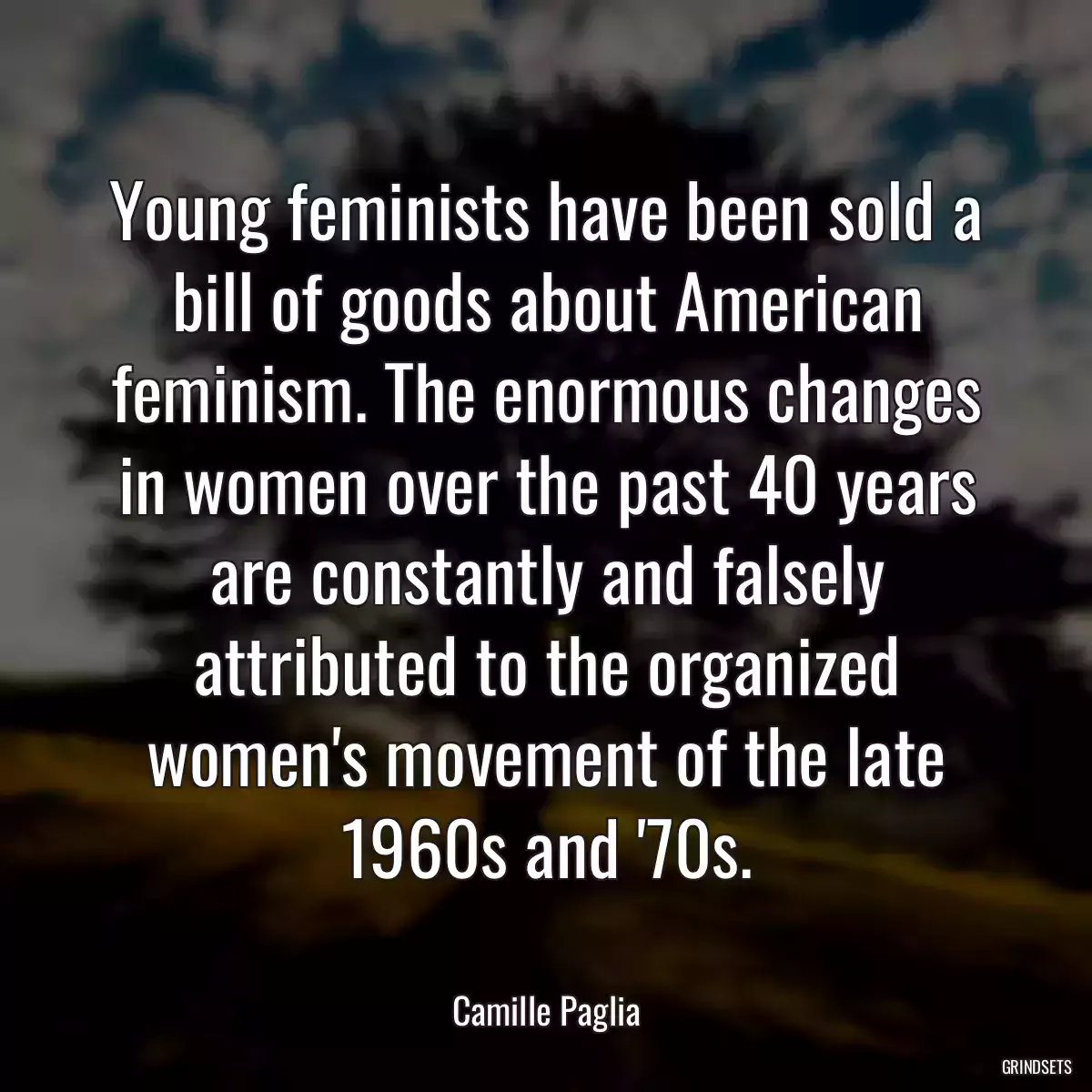 Young feminists have been sold a bill of goods about American feminism. The enormous changes in women over the past 40 years are constantly and falsely attributed to the organized women\'s movement of the late 1960s and \'70s.