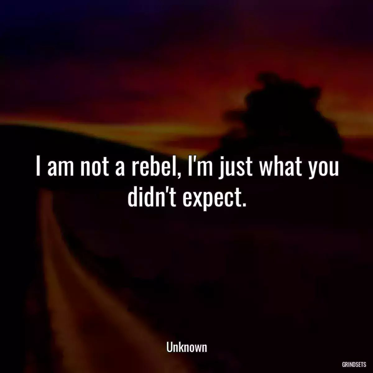 I am not a rebel, I\'m just what you didn\'t expect.