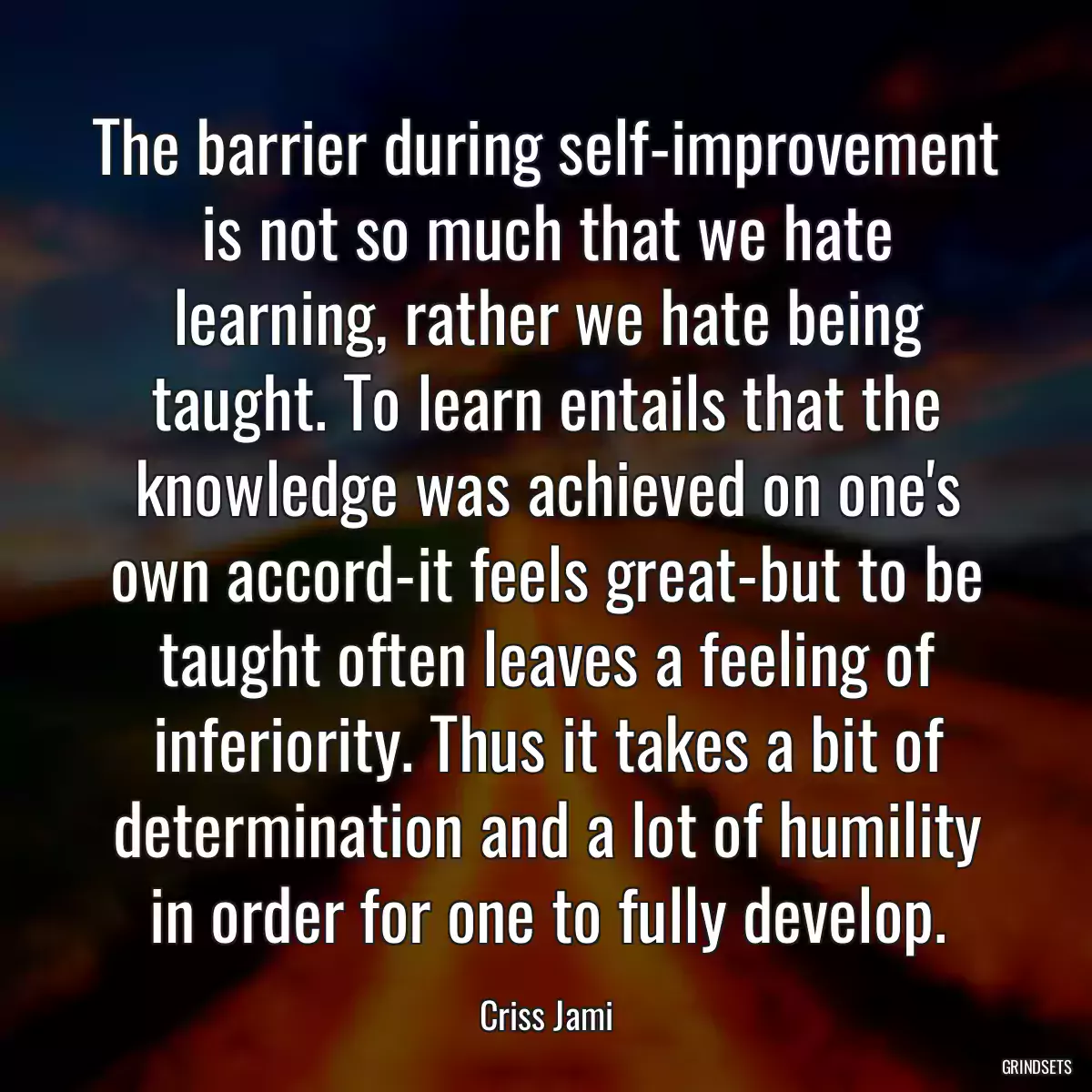 The barrier during self-improvement is not so much that we hate learning, rather we hate being taught. To learn entails that the knowledge was achieved on one\'s own accord-it feels great-but to be taught often leaves a feeling of inferiority. Thus it takes a bit of determination and a lot of humility in order for one to fully develop.