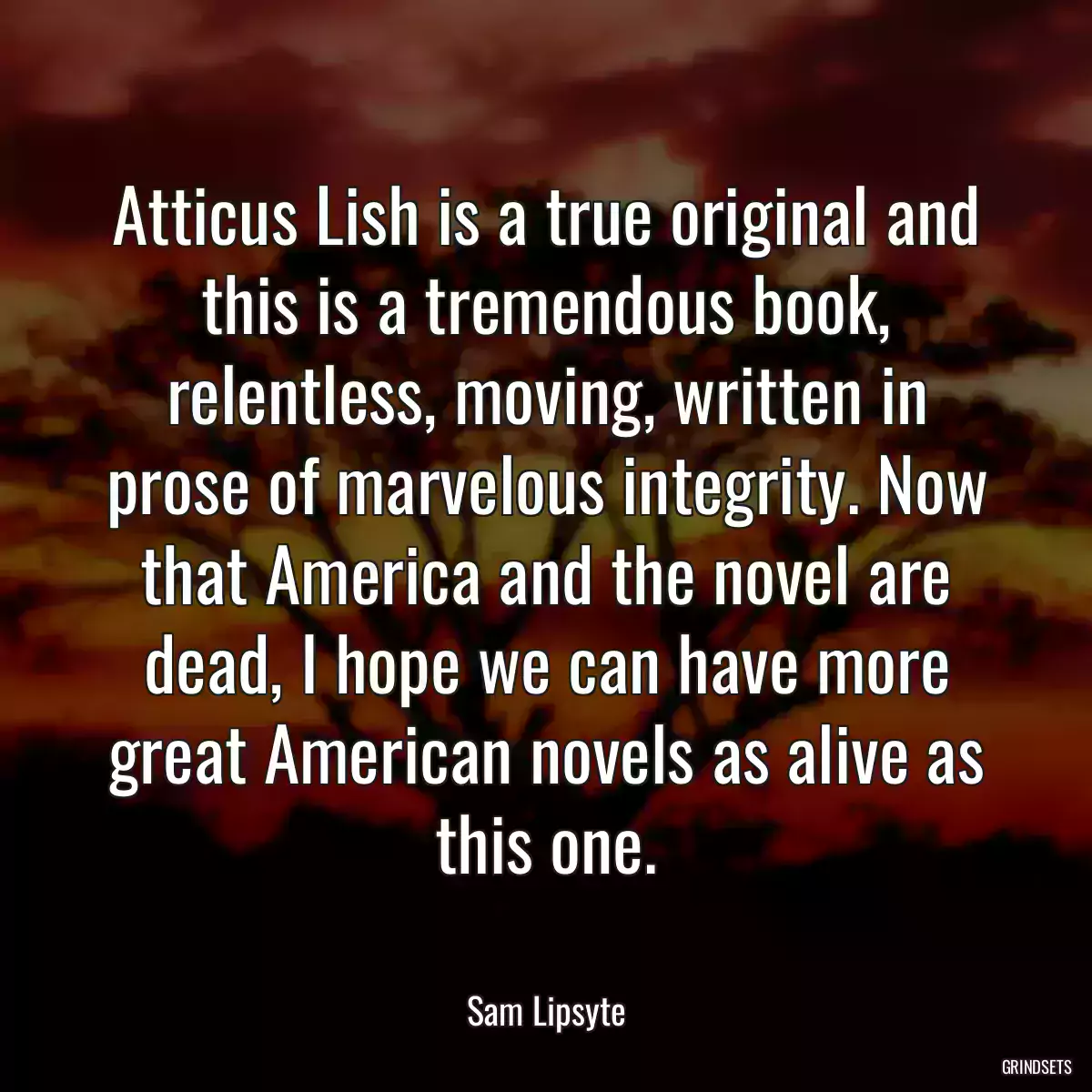 Atticus Lish is a true original and this is a tremendous book, relentless, moving, written in prose of marvelous integrity. Now that America and the novel are dead, I hope we can have more great American novels as alive as this one.