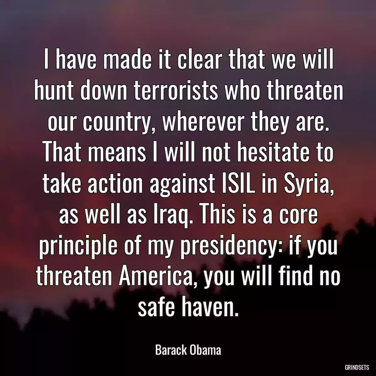 I have made it clear that we will hunt down terrorists who threaten our country, wherever they are. That means I will not hesitate to take action against ISIL in Syria, as well as Iraq. This is a core principle of my presidency: if you threaten America, you will find no safe haven.