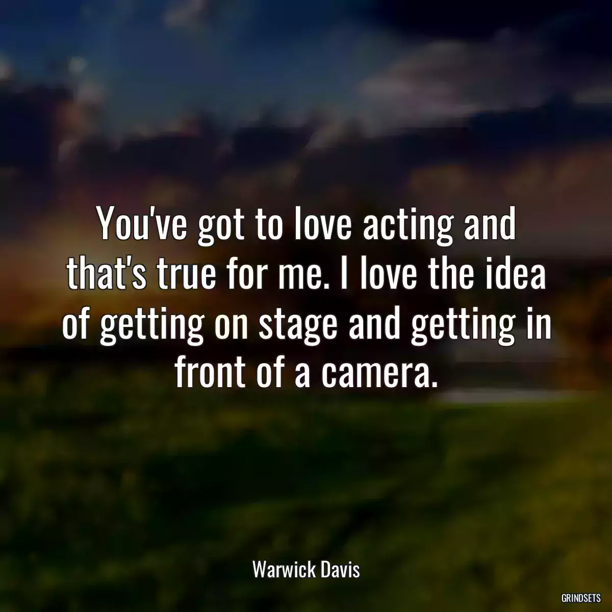 You\'ve got to love acting and that\'s true for me. I love the idea of getting on stage and getting in front of a camera.