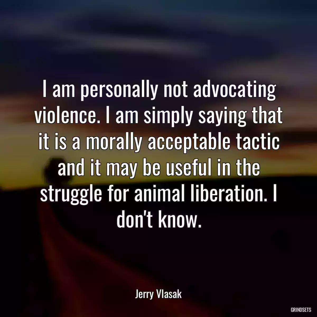 I am personally not advocating violence. I am simply saying that it is a morally acceptable tactic and it may be useful in the struggle for animal liberation. I don\'t know.