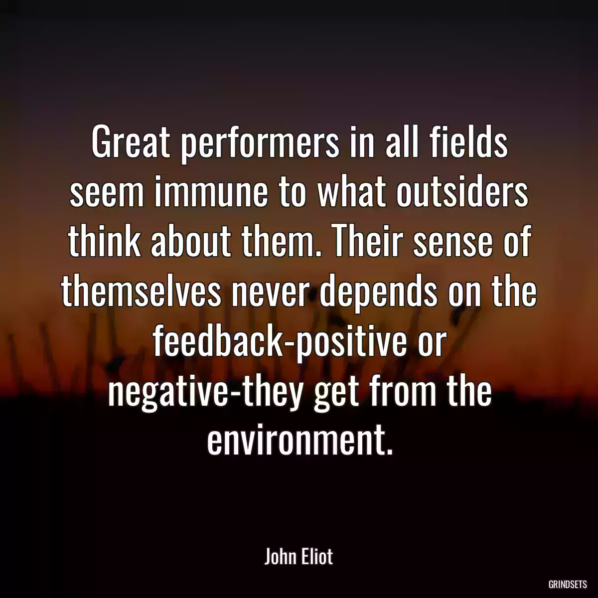 Great performers in all fields seem immune to what outsiders think about them. Their sense of themselves never depends on the feedback-positive or negative-they get from the environment.