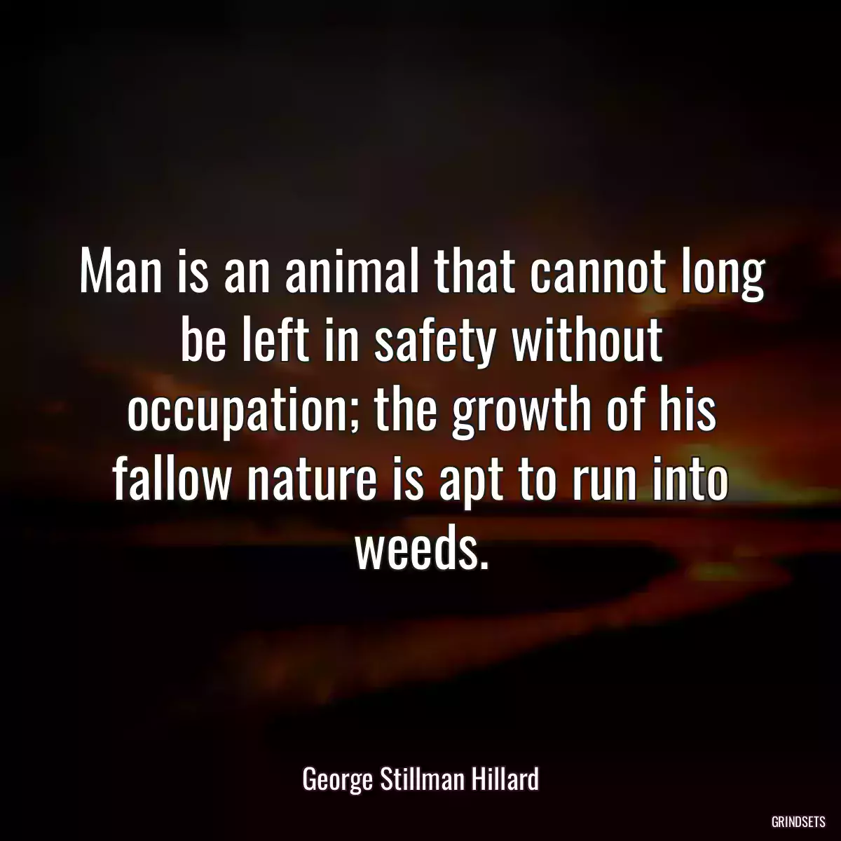 Man is an animal that cannot long be left in safety without occupation; the growth of his fallow nature is apt to run into weeds.