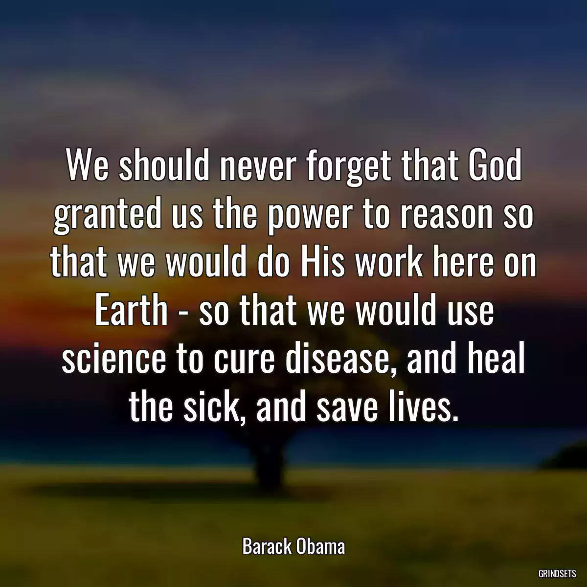 We should never forget that God granted us the power to reason so that we would do His work here on Earth - so that we would use science to cure disease, and heal the sick, and save lives.