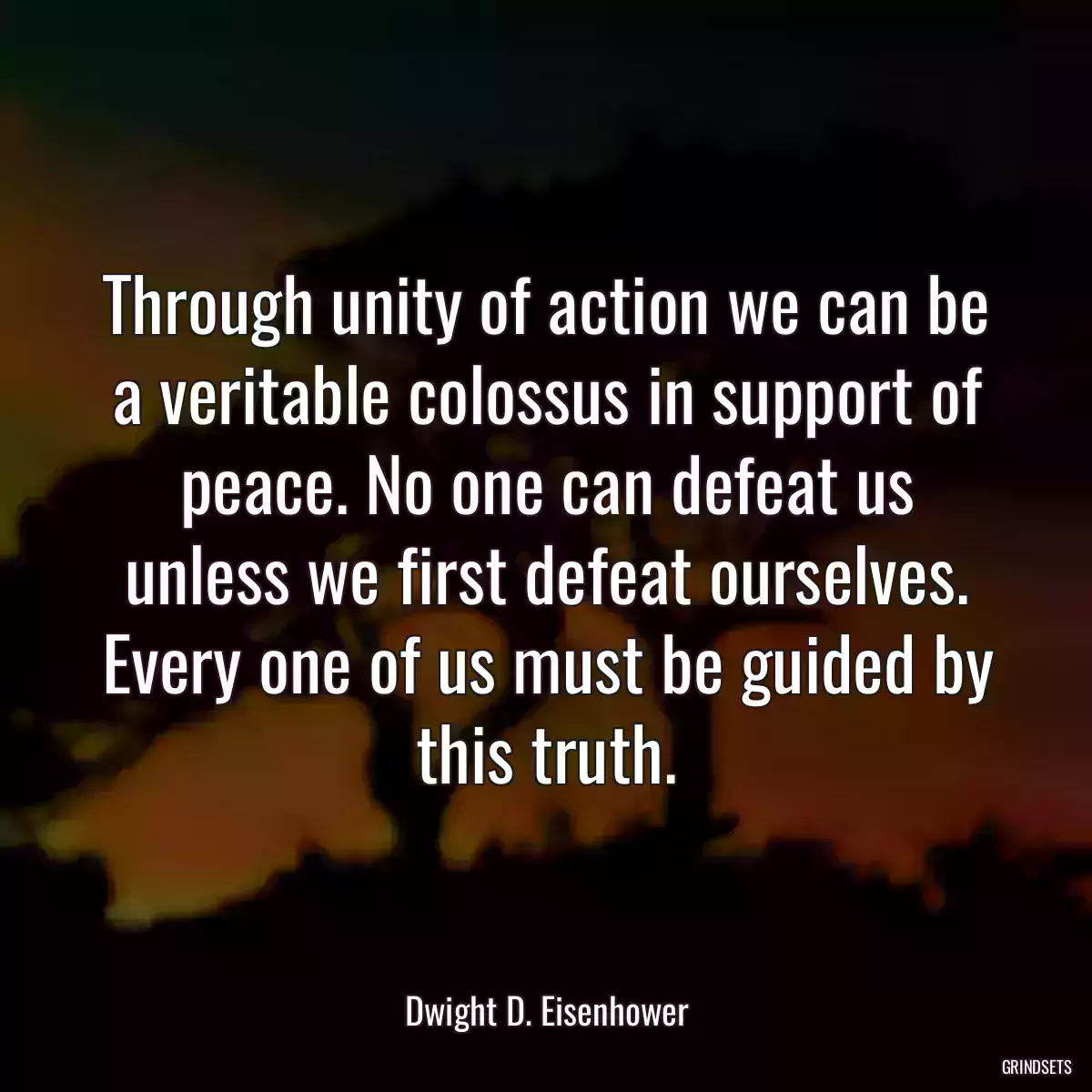 Through unity of action we can be a veritable colossus in support of peace. No one can defeat us unless we first defeat ourselves. Every one of us must be guided by this truth.