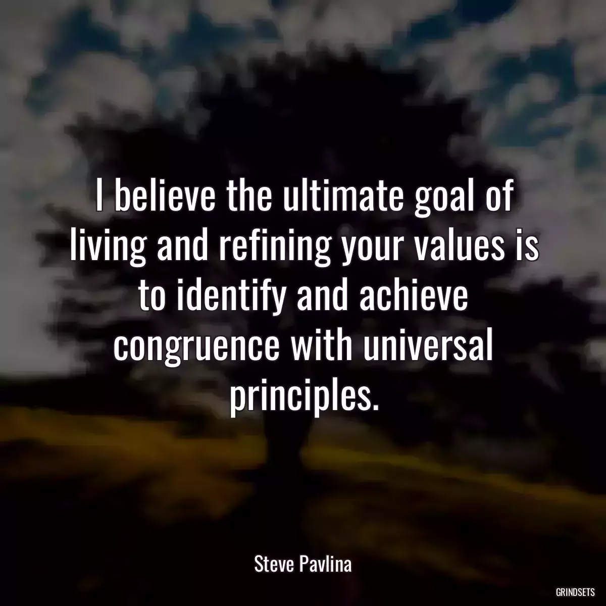 I believe the ultimate goal of living and refining your values is to identify and achieve congruence with universal principles.