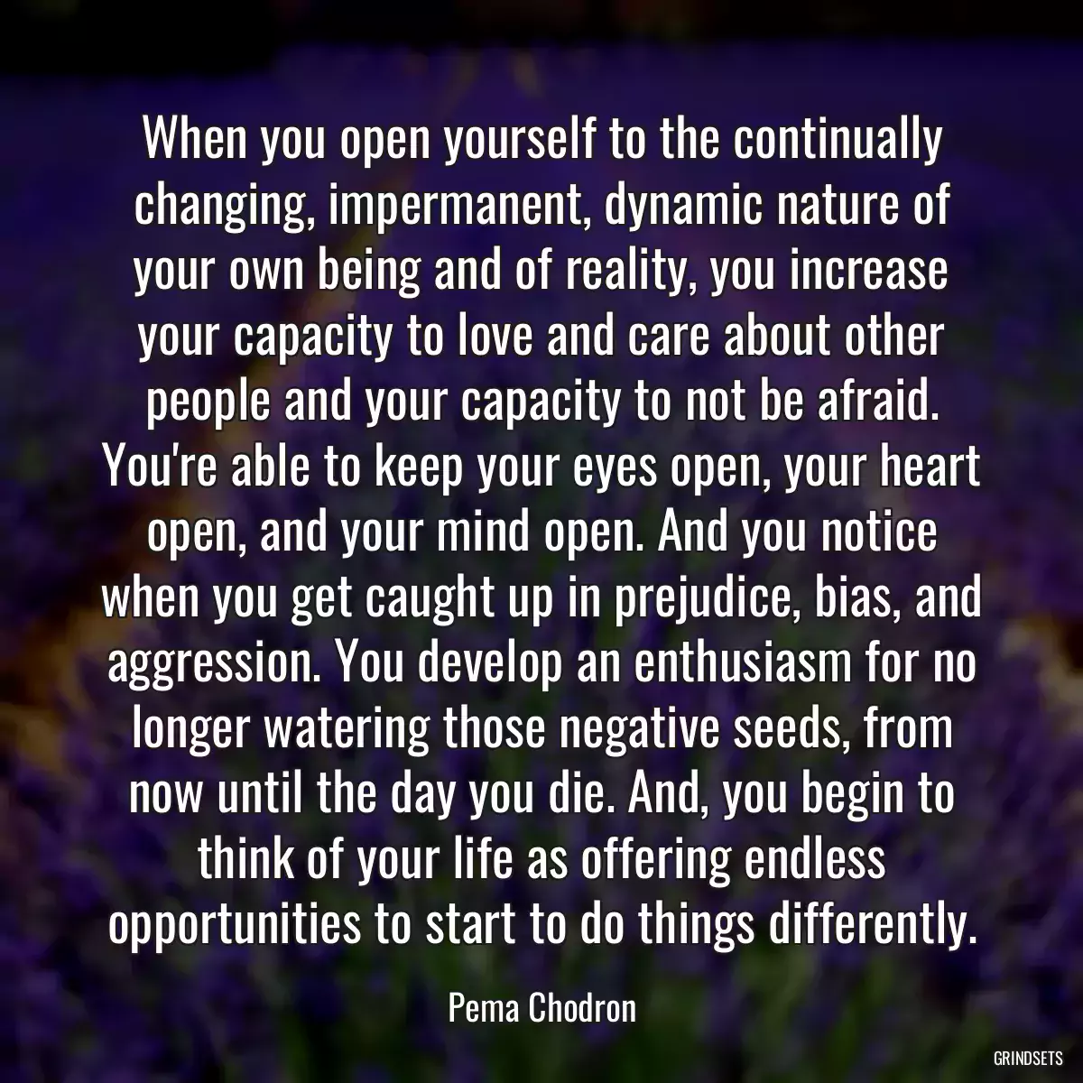 When you open yourself to the continually changing, impermanent, dynamic nature of your own being and of reality, you increase your capacity to love and care about other people and your capacity to not be afraid. You\'re able to keep your eyes open, your heart open, and your mind open. And you notice when you get caught up in prejudice, bias, and aggression. You develop an enthusiasm for no longer watering those negative seeds, from now until the day you die. And, you begin to think of your life as offering endless opportunities to start to do things differently.