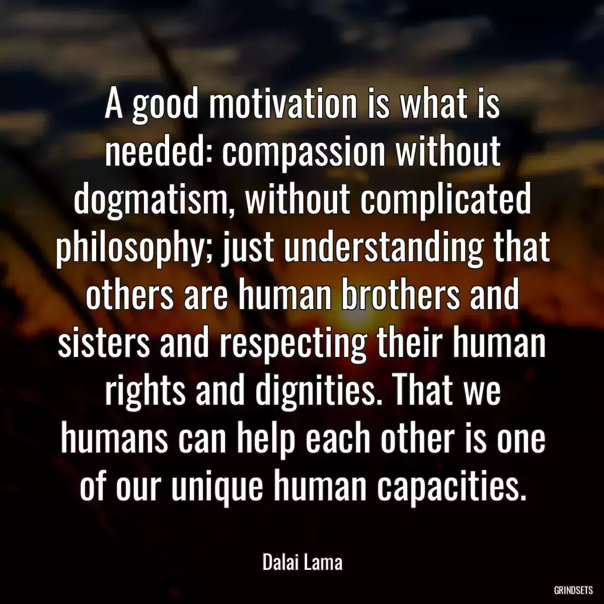 A good motivation is what is needed: compassion without dogmatism, without complicated philosophy; just understanding that others are human brothers and sisters and respecting their human rights and dignities. That we humans can help each other is one of our unique human capacities.