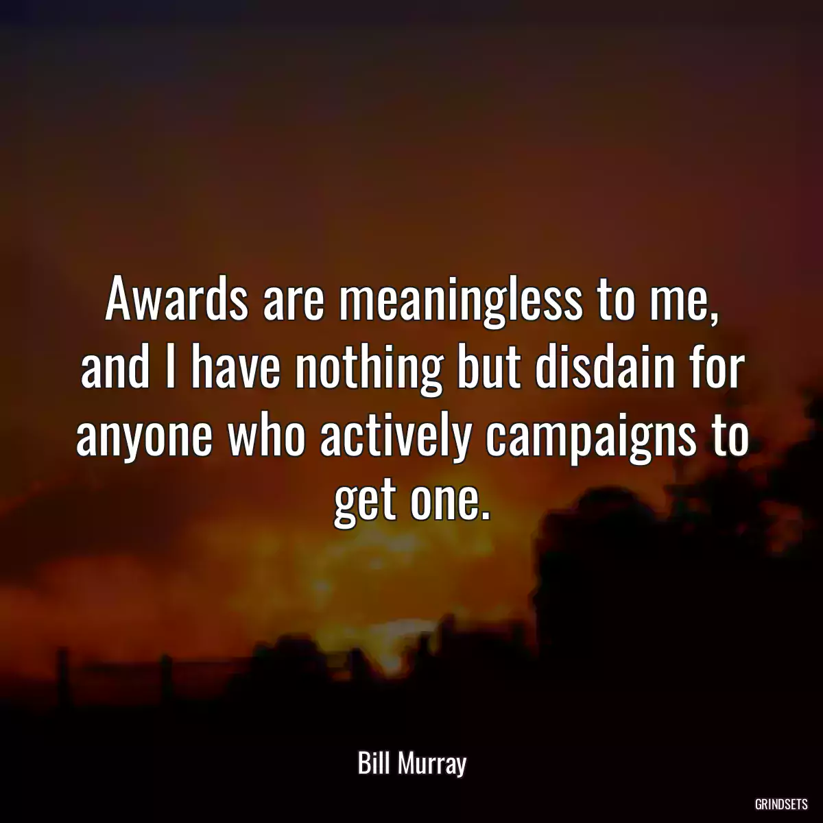 Awards are meaningless to me, and I have nothing but disdain for anyone who actively campaigns to get one.