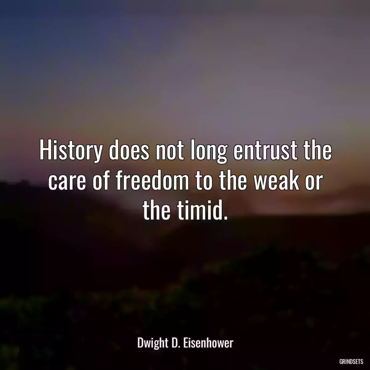 History does not long entrust the care of freedom to the weak or the timid.