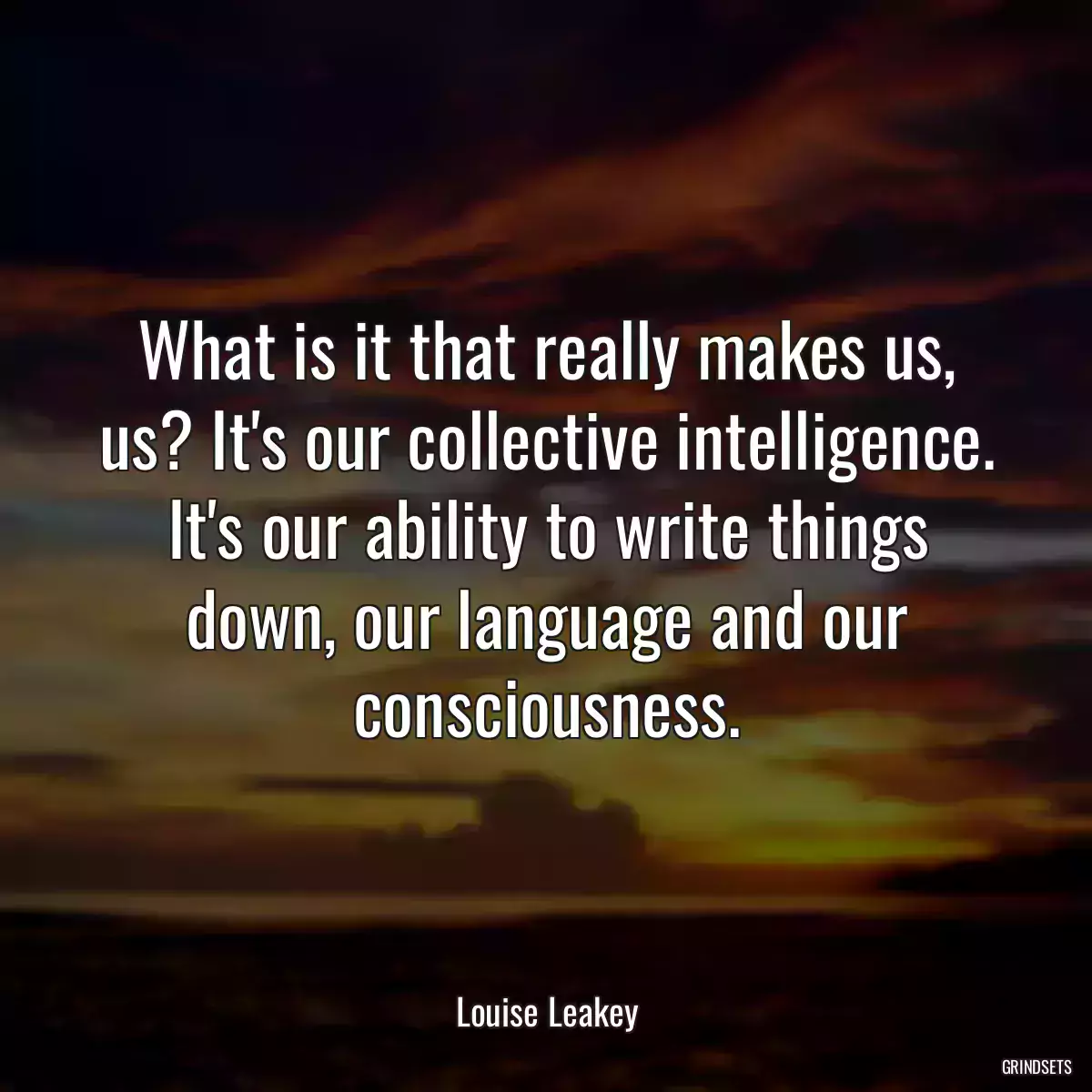 What is it that really makes us, us? It\'s our collective intelligence. It\'s our ability to write things down, our language and our consciousness.