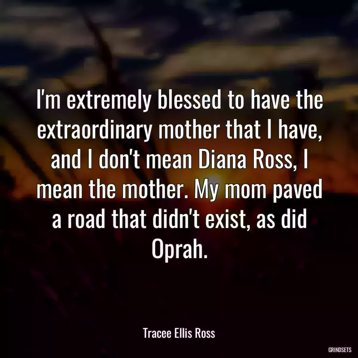 I\'m extremely blessed to have the extraordinary mother that I have, and I don\'t mean Diana Ross, I mean the mother. My mom paved a road that didn\'t exist, as did Oprah.