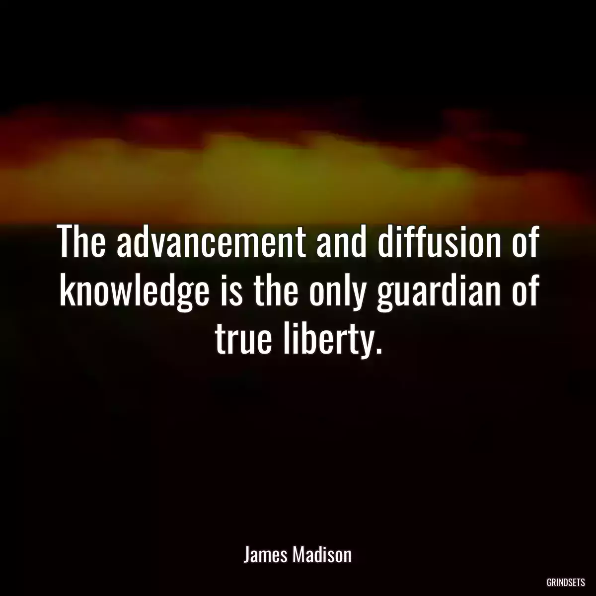 The advancement and diffusion of knowledge is the only guardian of true liberty.