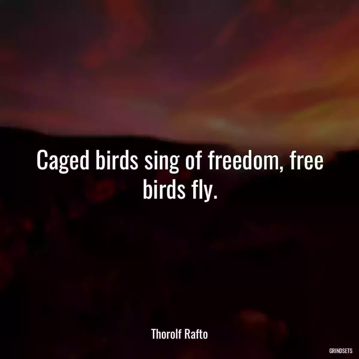 Caged birds sing of freedom, free birds fly.