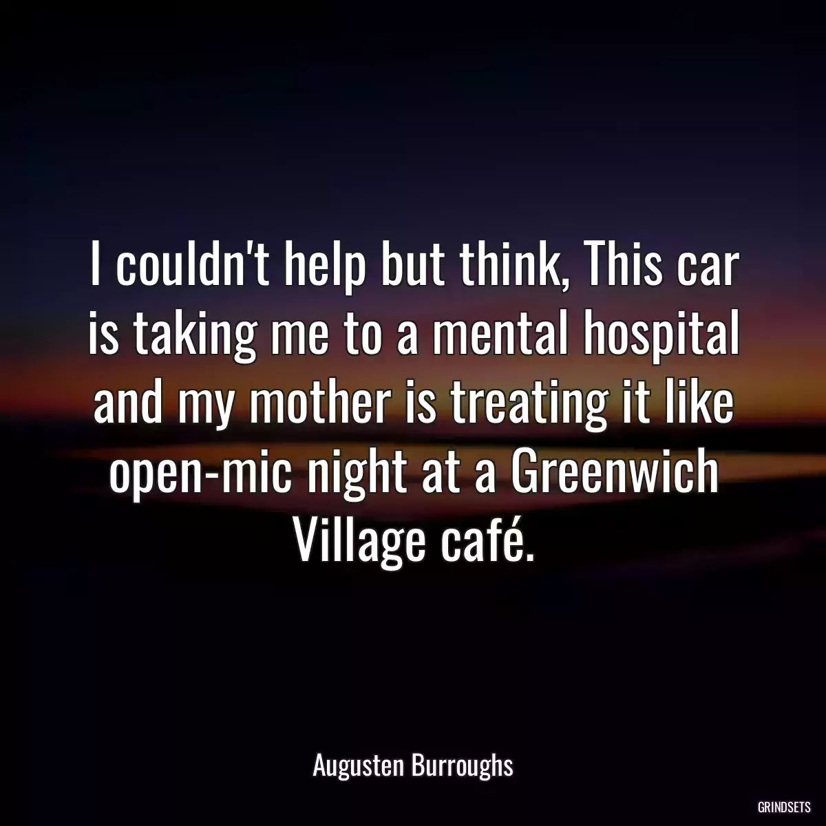 I couldn\'t help but think, This car is taking me to a mental hospital and my mother is treating it like open-mic night at a Greenwich Village café.