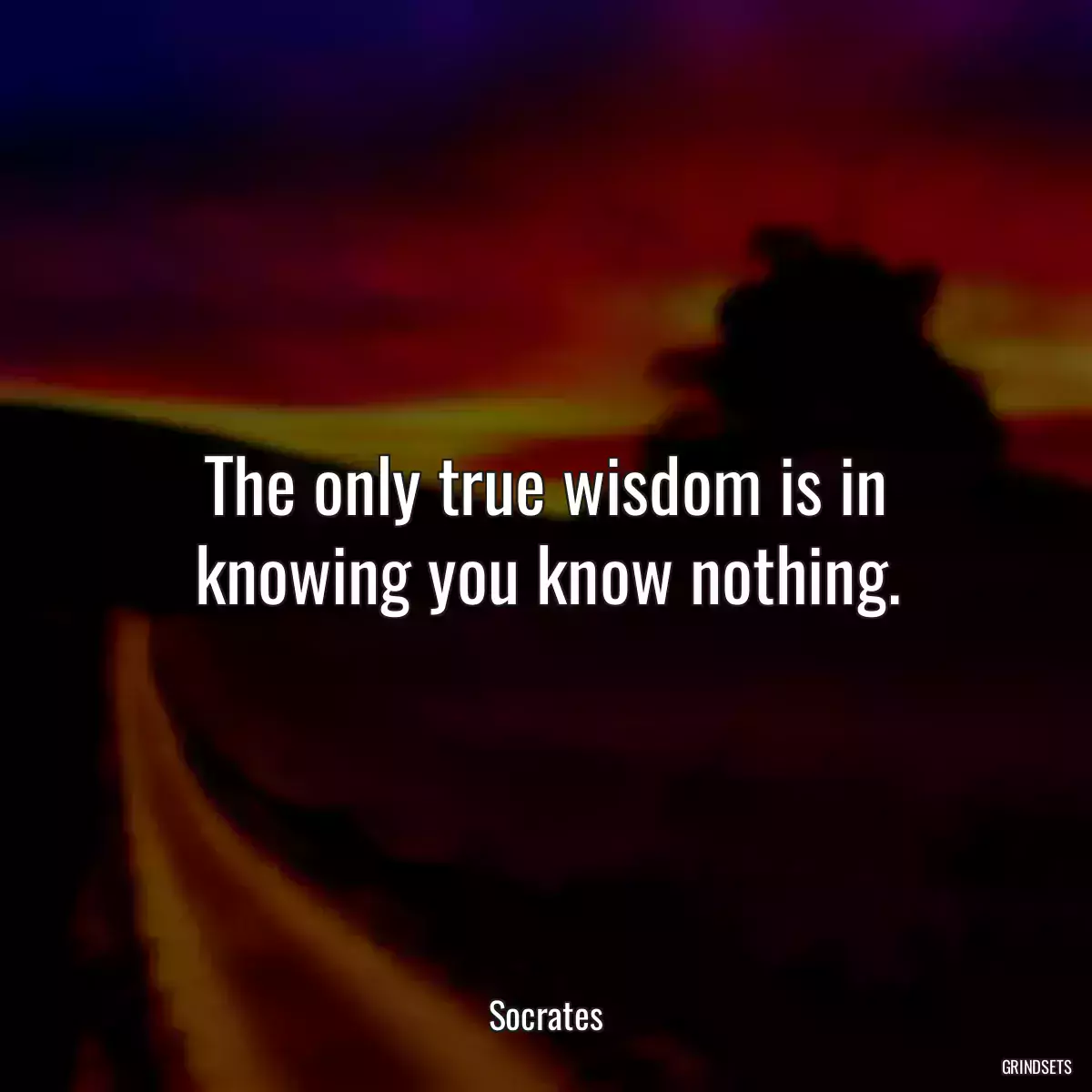 The only true wisdom is in knowing you know nothing.