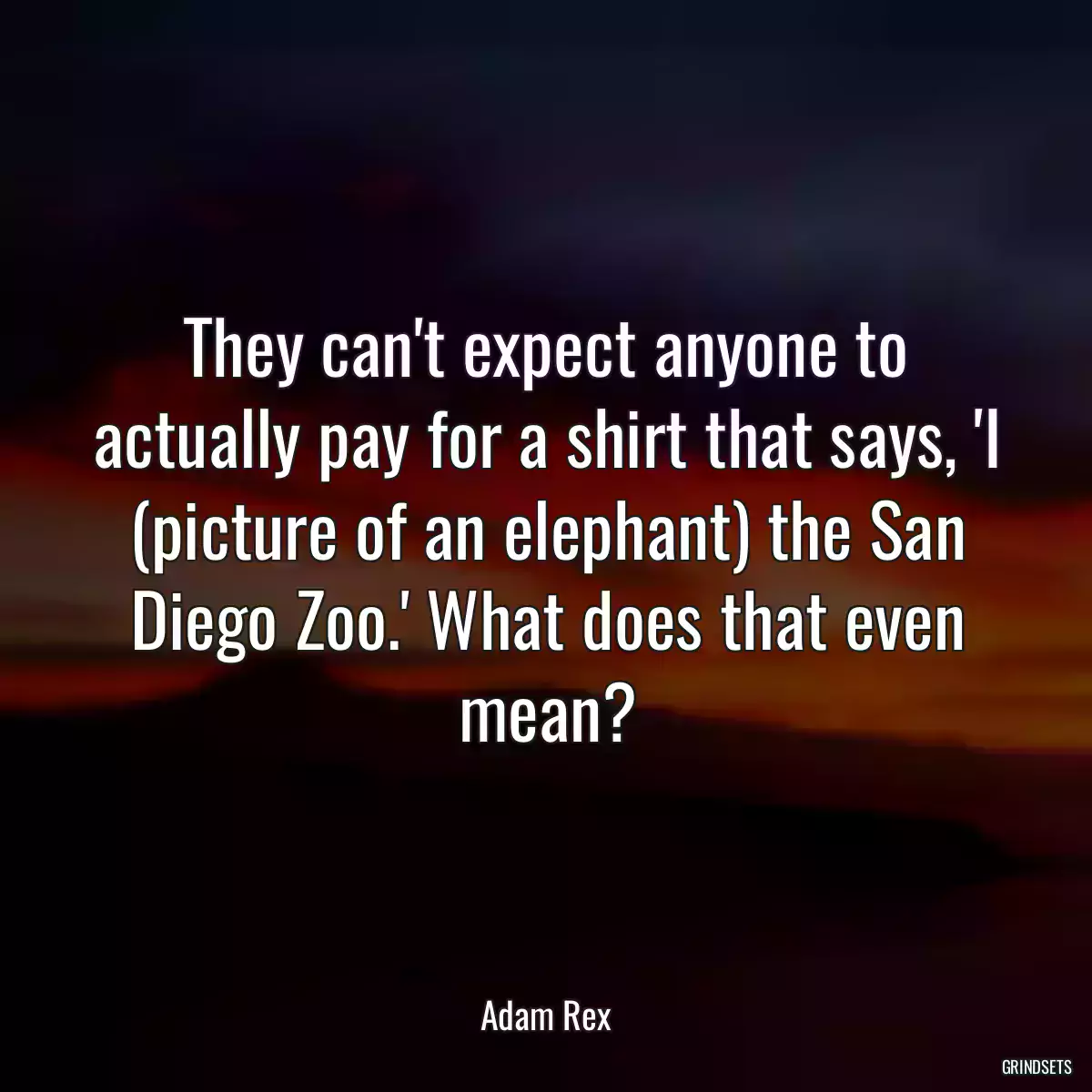 They can\'t expect anyone to actually pay for a shirt that says, \'I (picture of an elephant) the San Diego Zoo.\' What does that even mean?