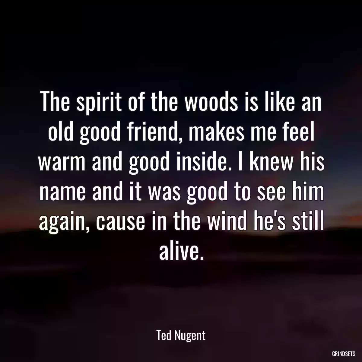 The spirit of the woods is like an old good friend, makes me feel warm and good inside. I knew his name and it was good to see him again, cause in the wind he\'s still alive.