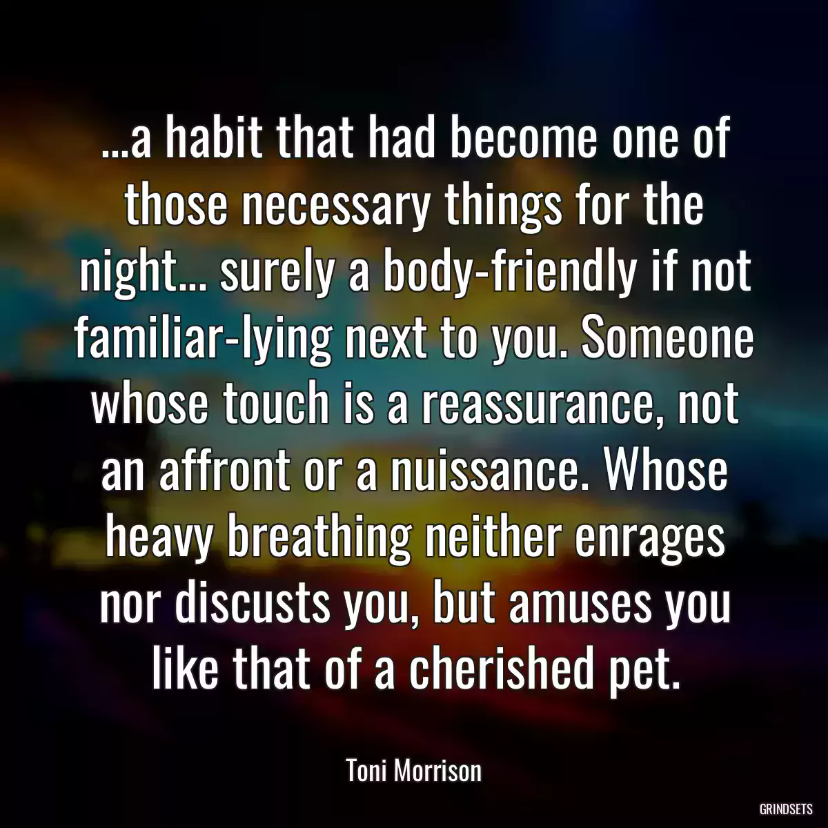 ...a habit that had become one of those necessary things for the night... surely a body-friendly if not familiar-lying next to you. Someone whose touch is a reassurance, not an affront or a nuissance. Whose heavy breathing neither enrages nor discusts you, but amuses you like that of a cherished pet.