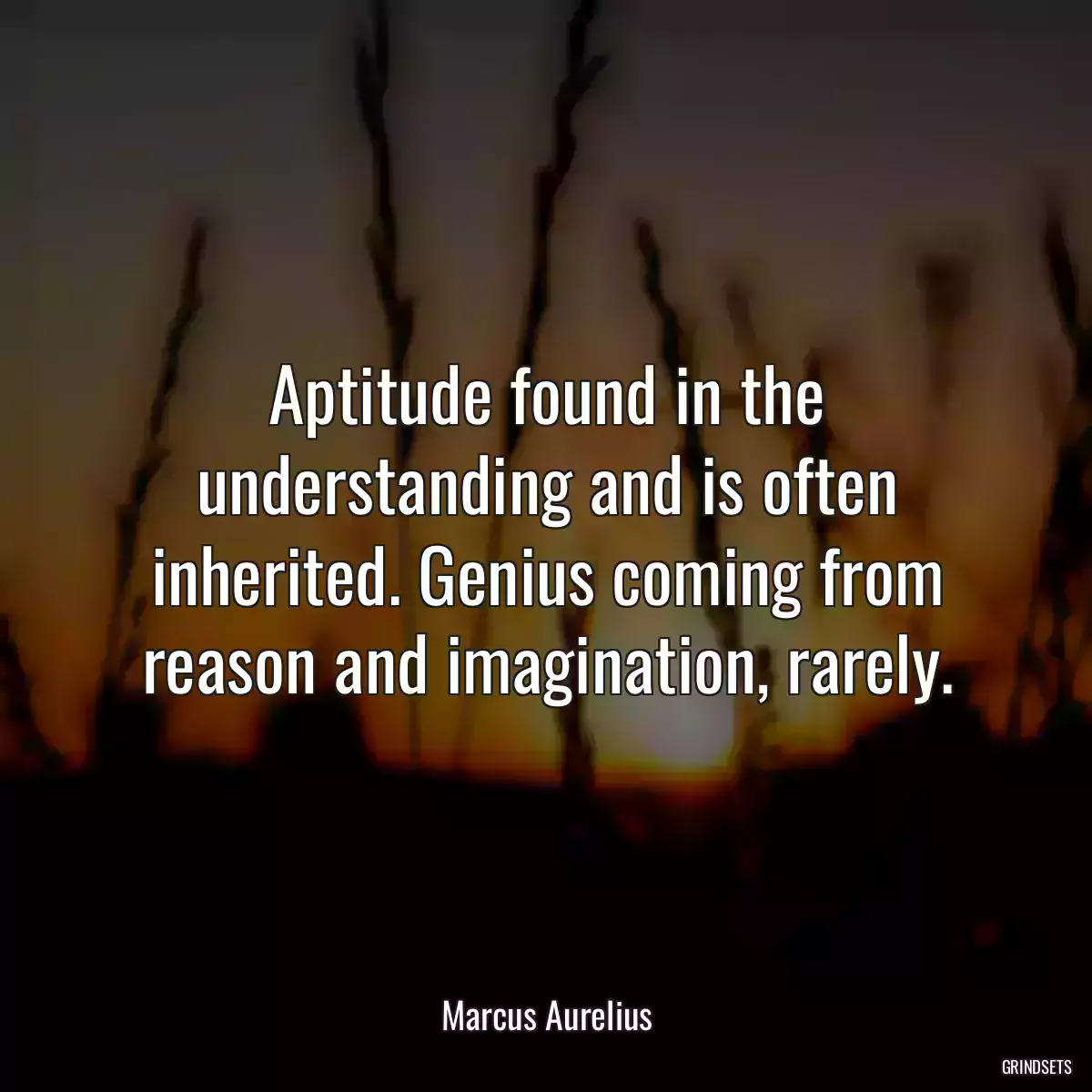 Aptitude found in the understanding and is often inherited. Genius coming from reason and imagination, rarely.