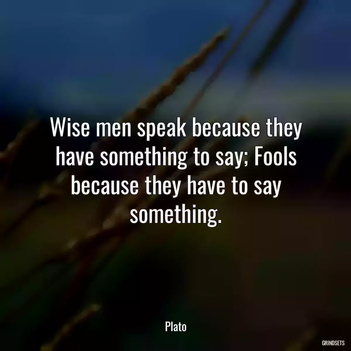 Wise men speak because they have something to say; Fools because they have to say something.