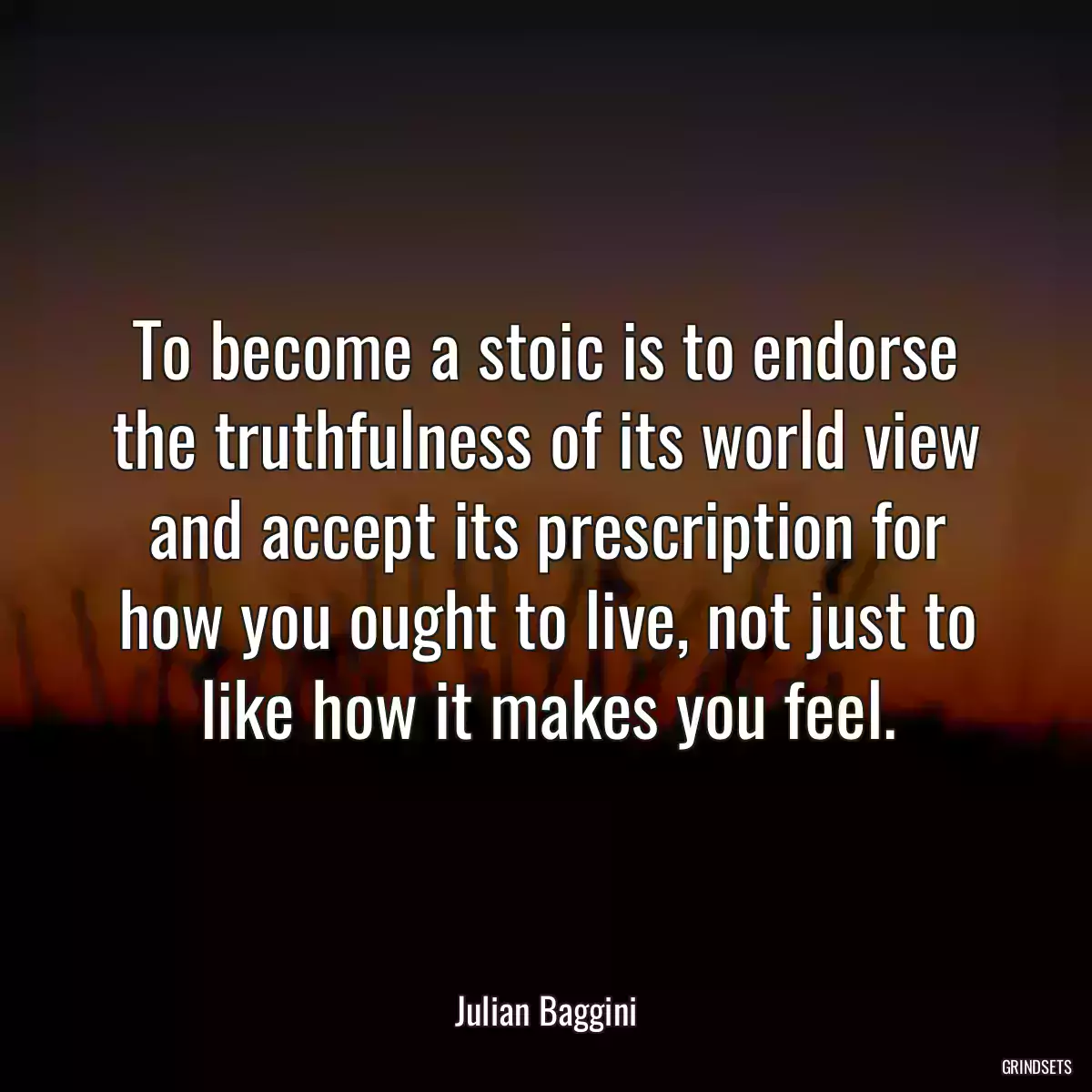 To become a stoic is to endorse the truthfulness of its world view and accept its prescription for how you ought to live, not just to like how it makes you feel.