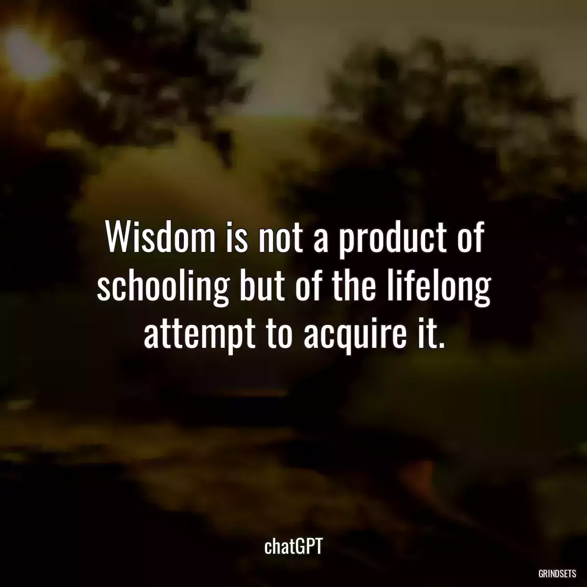 Wisdom is not a product of schooling but of the lifelong attempt to acquire it.