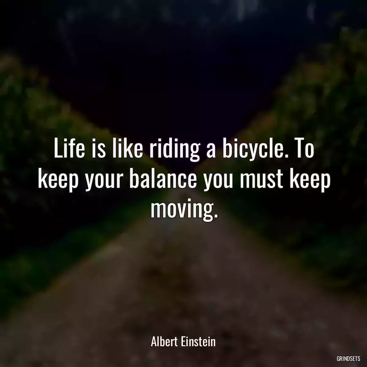 Life is like riding a bicycle. To keep your balance you must keep moving.