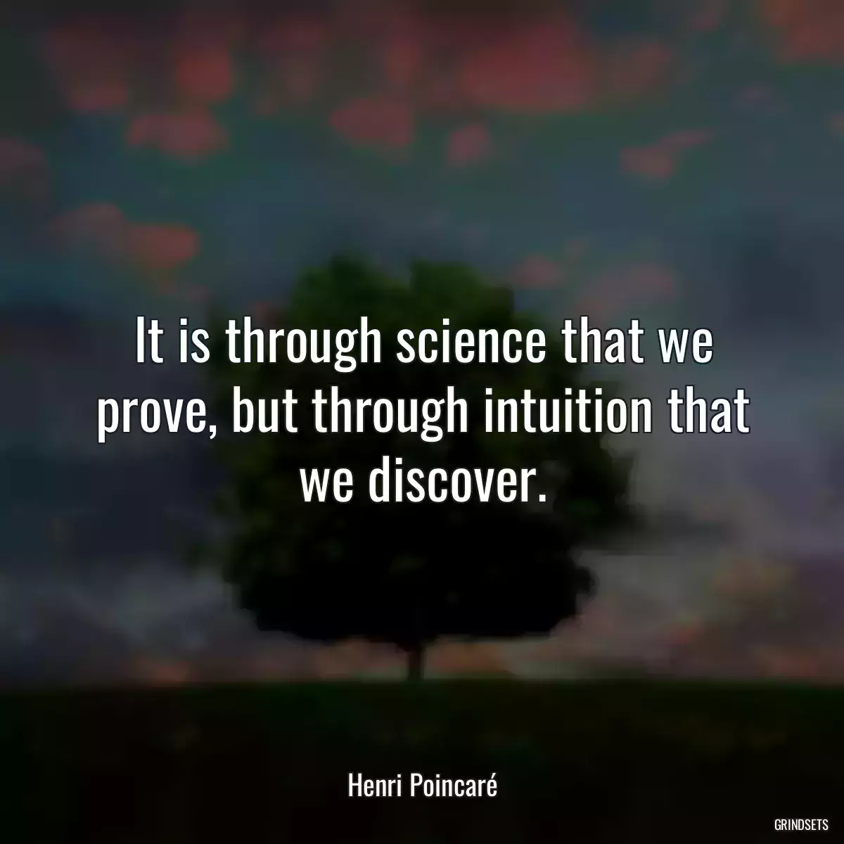 It is through science that we prove, but through intuition that we discover.