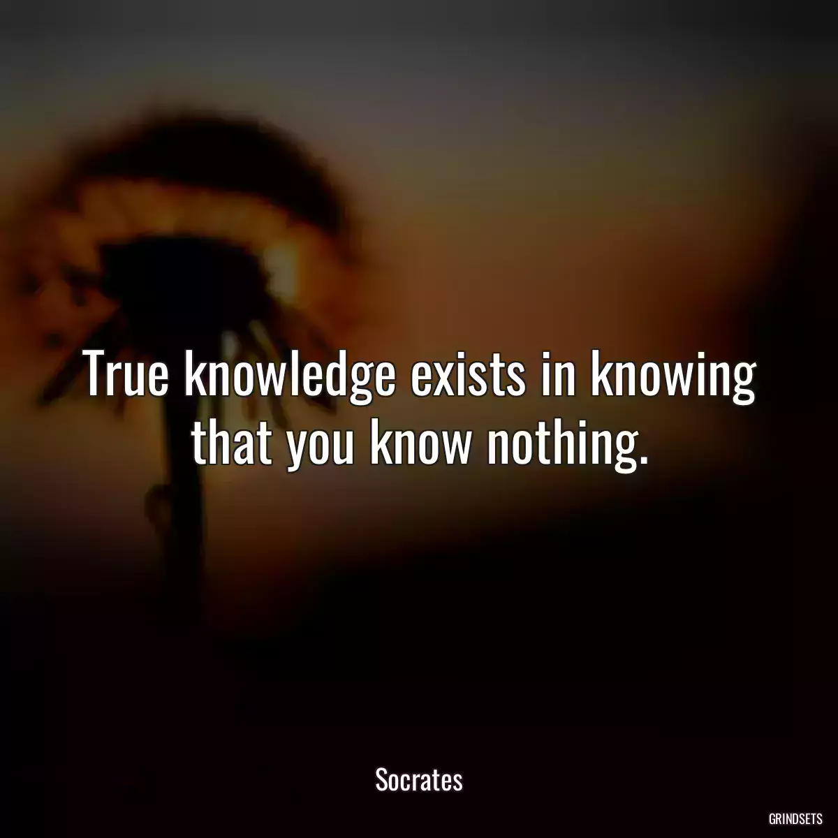 True knowledge exists in knowing that you know nothing.