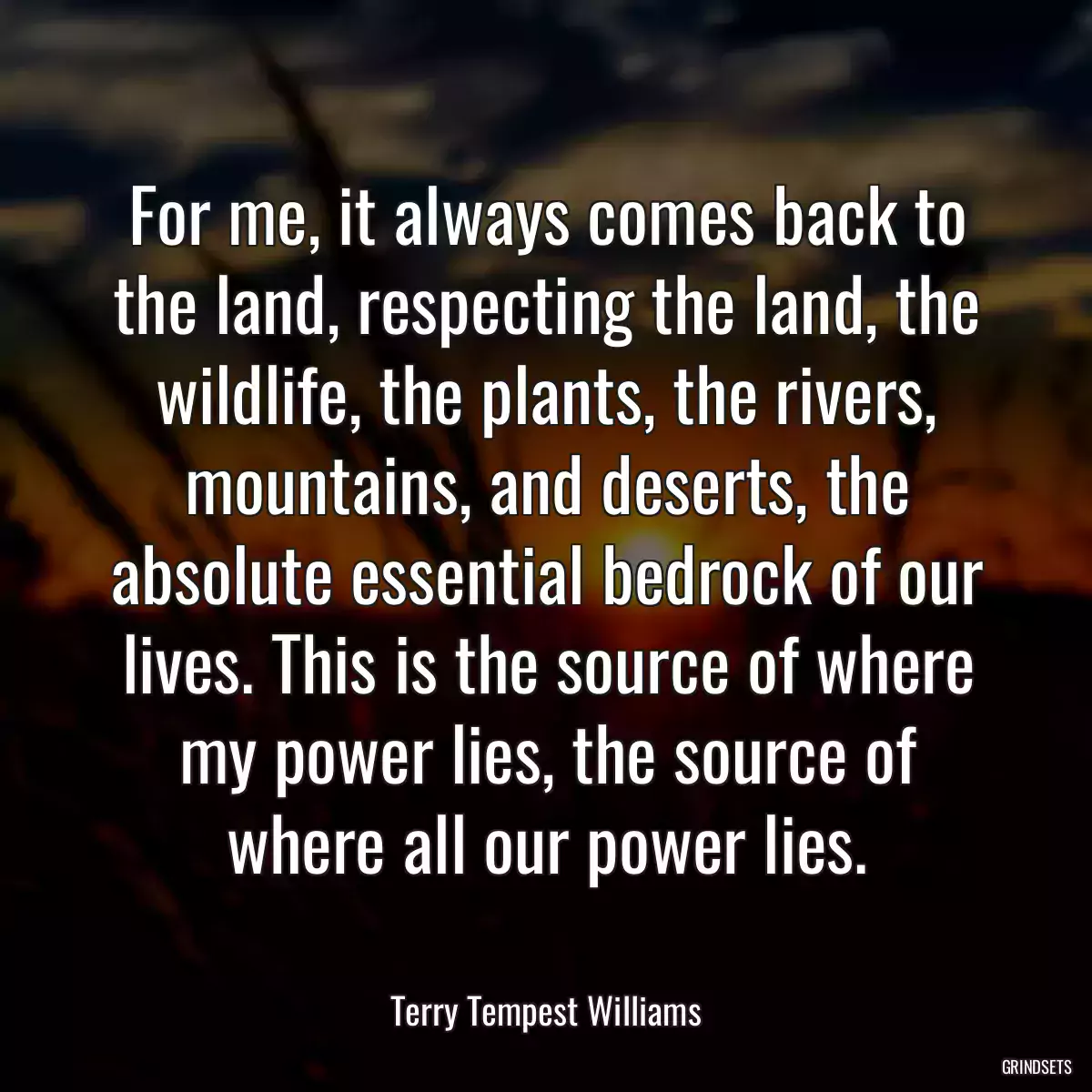 For me, it always comes back to the land, respecting the land, the wildlife, the plants, the rivers, mountains, and deserts, the absolute essential bedrock of our lives. This is the source of where my power lies, the source of where all our power lies.