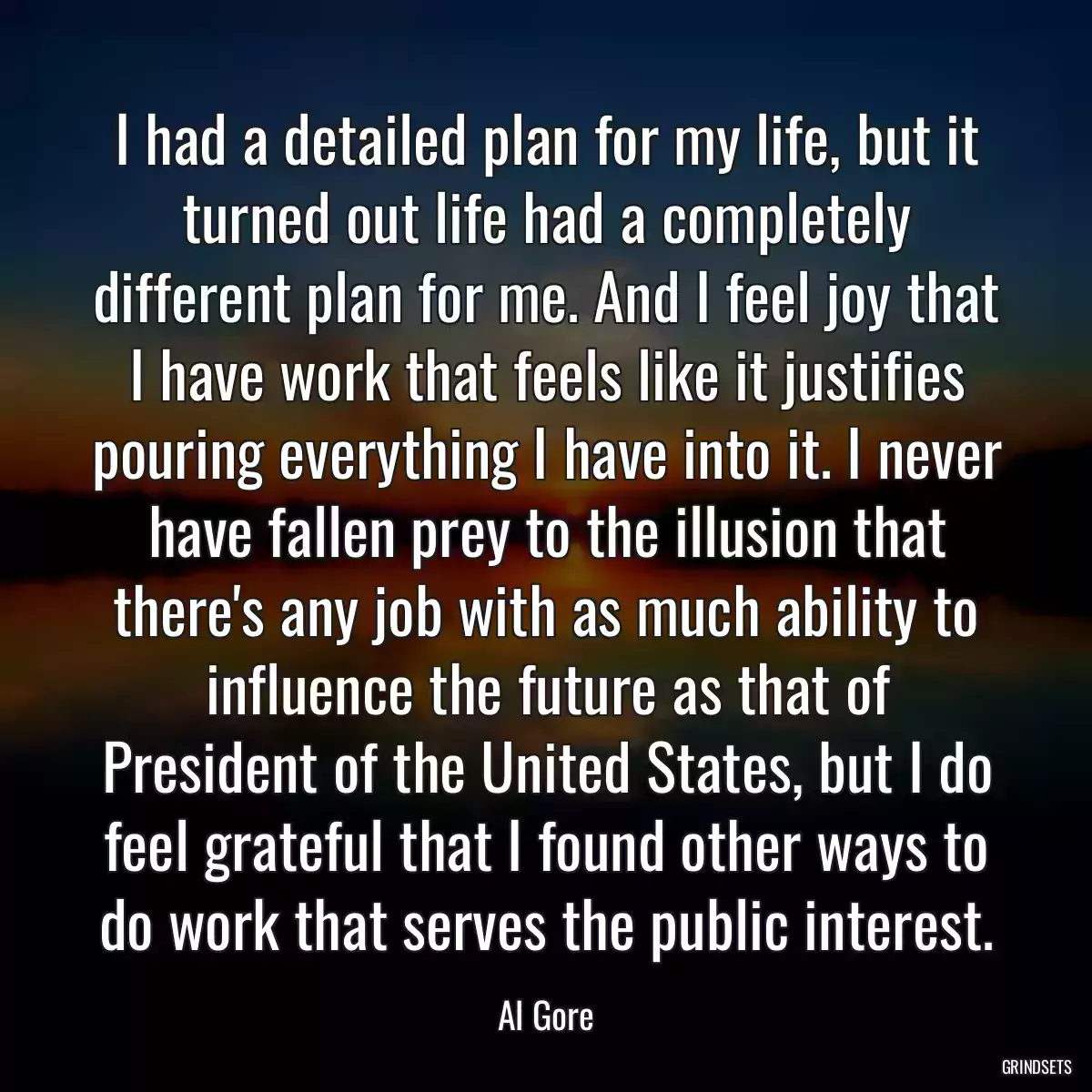 I had a detailed plan for my life, but it turned out life had a completely different plan for me. And I feel joy that I have work that feels like it justifies pouring everything I have into it. I never have fallen prey to the illusion that there\'s any job with as much ability to influence the future as that of President of the United States, but I do feel grateful that I found other ways to do work that serves the public interest.