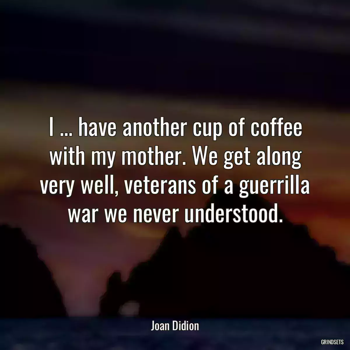 I ... have another cup of coffee with my mother. We get along very well, veterans of a guerrilla war we never understood.