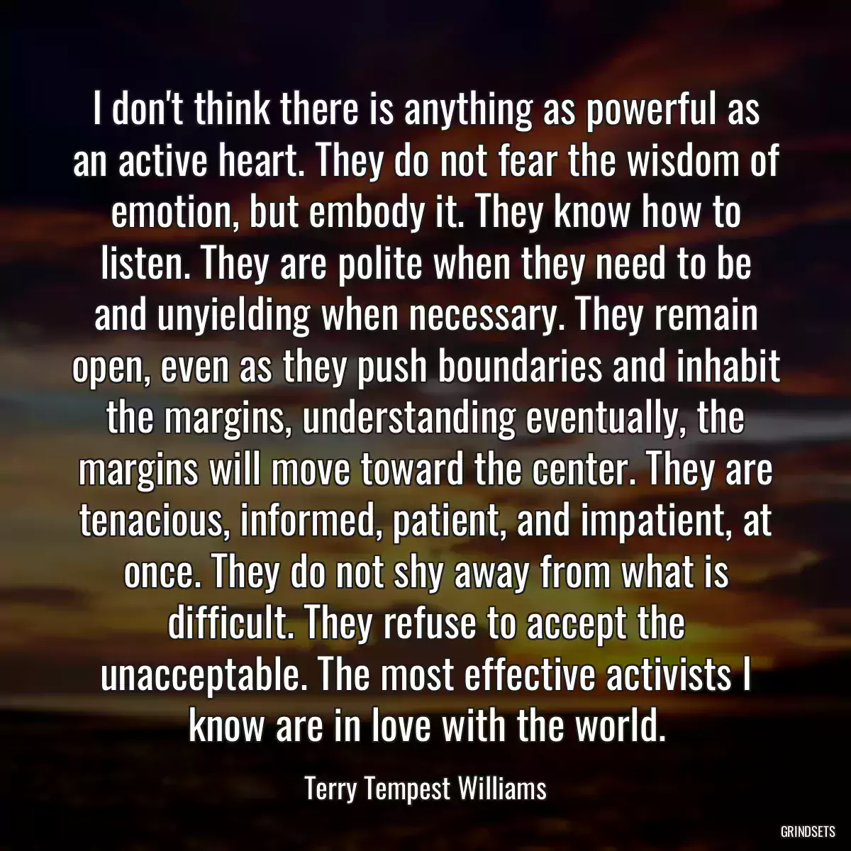 I don\'t think there is anything as powerful as an active heart. They do not fear the wisdom of emotion, but embody it. They know how to listen. They are polite when they need to be and unyielding when necessary. They remain open, even as they push boundaries and inhabit the margins, understanding eventually, the margins will move toward the center. They are tenacious, informed, patient, and impatient, at once. They do not shy away from what is difficult. They refuse to accept the unacceptable. The most effective activists I know are in love with the world.