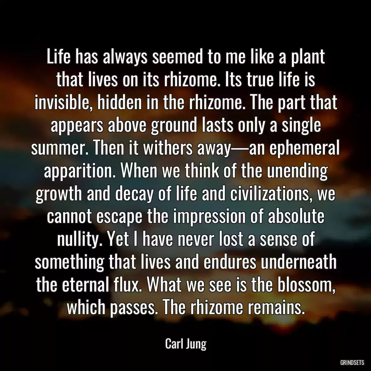 Life has always seemed to me like a plant that lives on its rhizome. Its true life is invisible, hidden in the rhizome. The part that appears above ground lasts only a single summer. Then it withers away—an ephemeral apparition. When we think of the unending growth and decay of life and civilizations, we cannot escape the impression of absolute nullity. Yet I have never lost a sense of something that lives and endures underneath the eternal flux. What we see is the blossom, which passes. The rhizome remains.