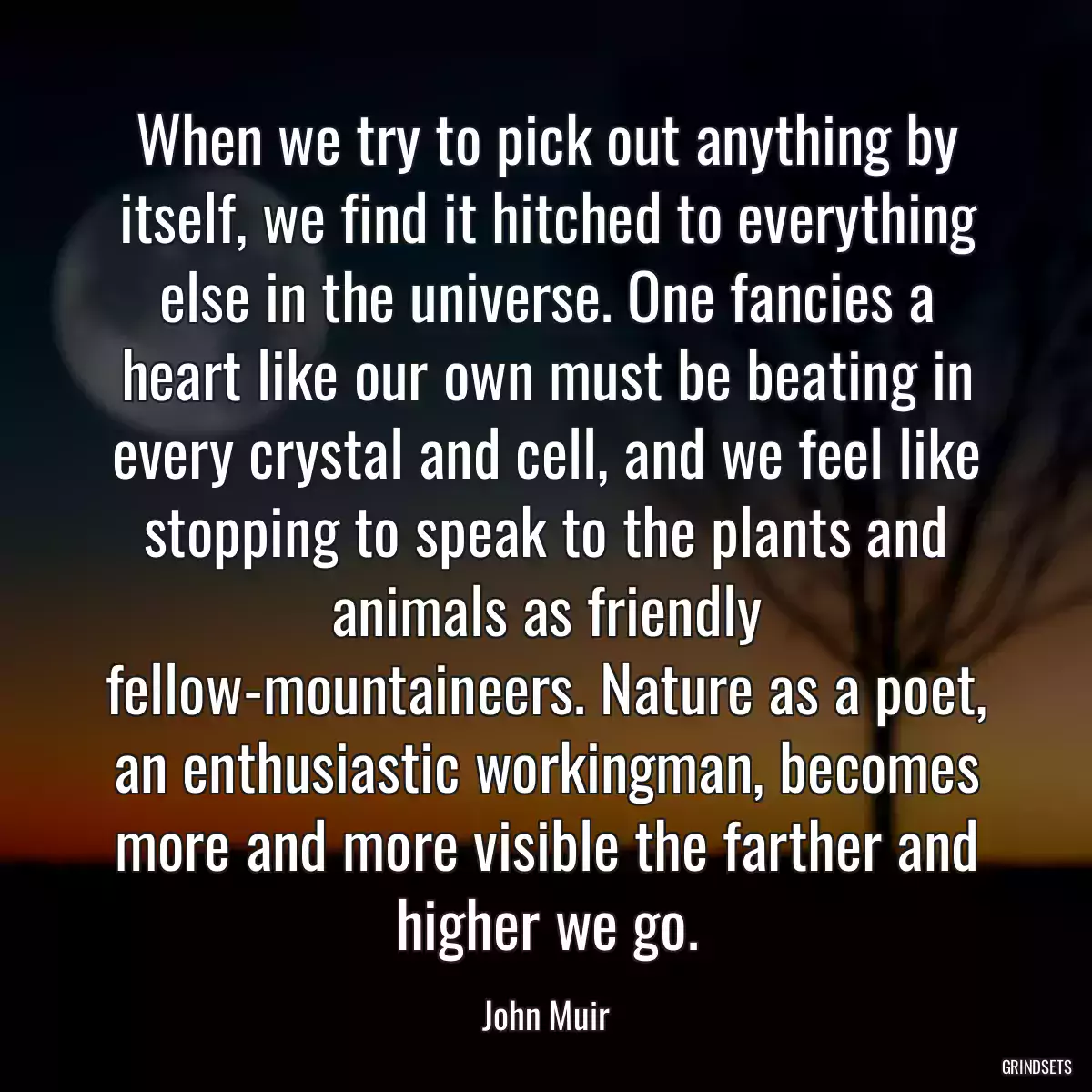 When we try to pick out anything by itself, we find it hitched to everything else in the universe. One fancies a heart like our own must be beating in every crystal and cell, and we feel like stopping to speak to the plants and animals as friendly fellow-mountaineers. Nature as a poet, an enthusiastic workingman, becomes more and more visible the farther and higher we go.