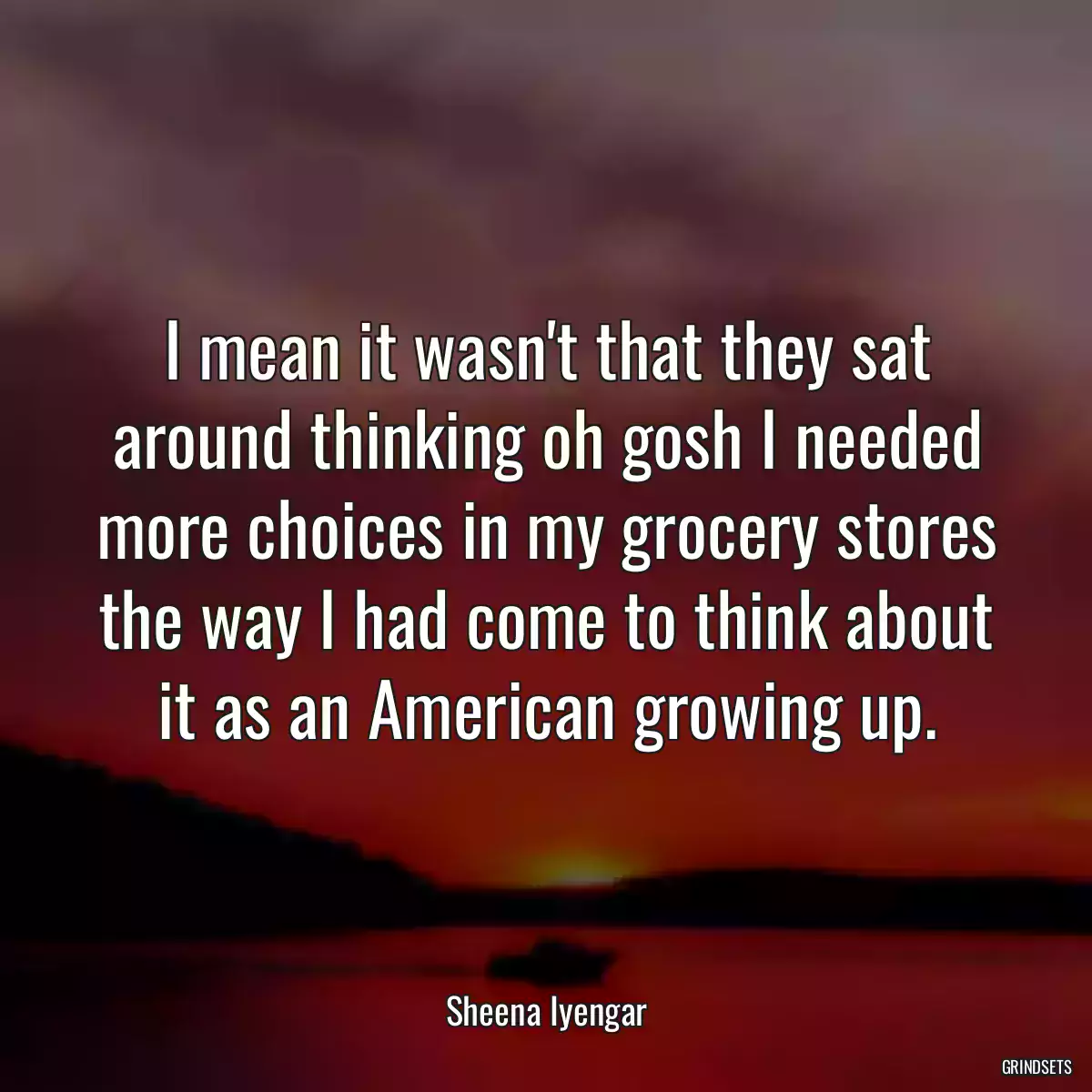 I mean it wasn\'t that they sat around thinking oh gosh I needed more choices in my grocery stores the way I had come to think about it as an American growing up.