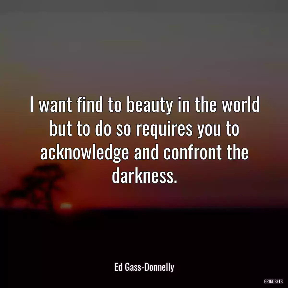 I want find to beauty in the world but to do so requires you to acknowledge and confront the darkness.