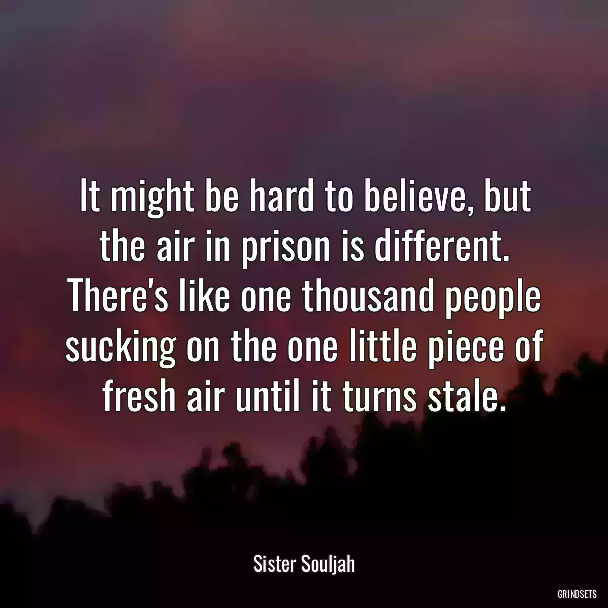 It might be hard to believe, but the air in prison is different. There\'s like one thousand people sucking on the one little piece of fresh air until it turns stale.