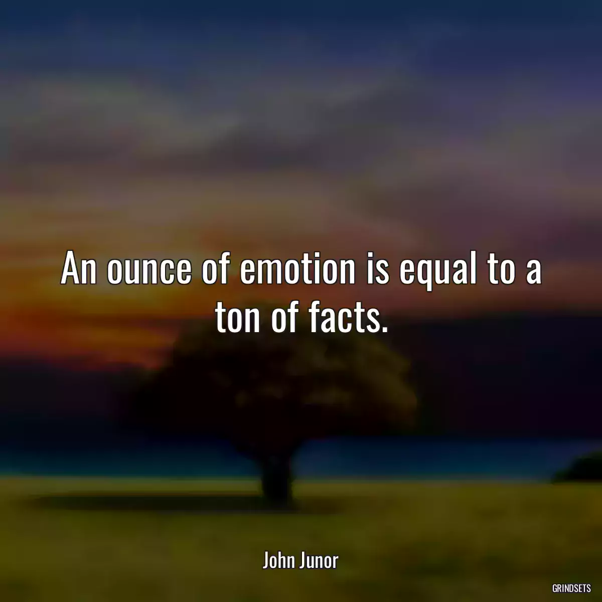 An ounce of emotion is equal to a ton of facts.