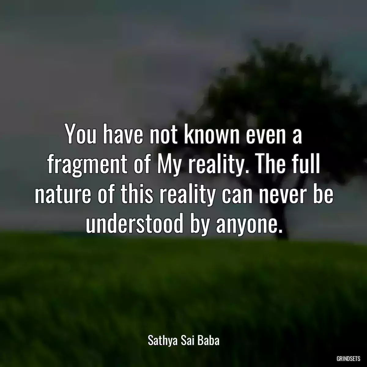 You have not known even a fragment of My reality. The full nature of this reality can never be understood by anyone.