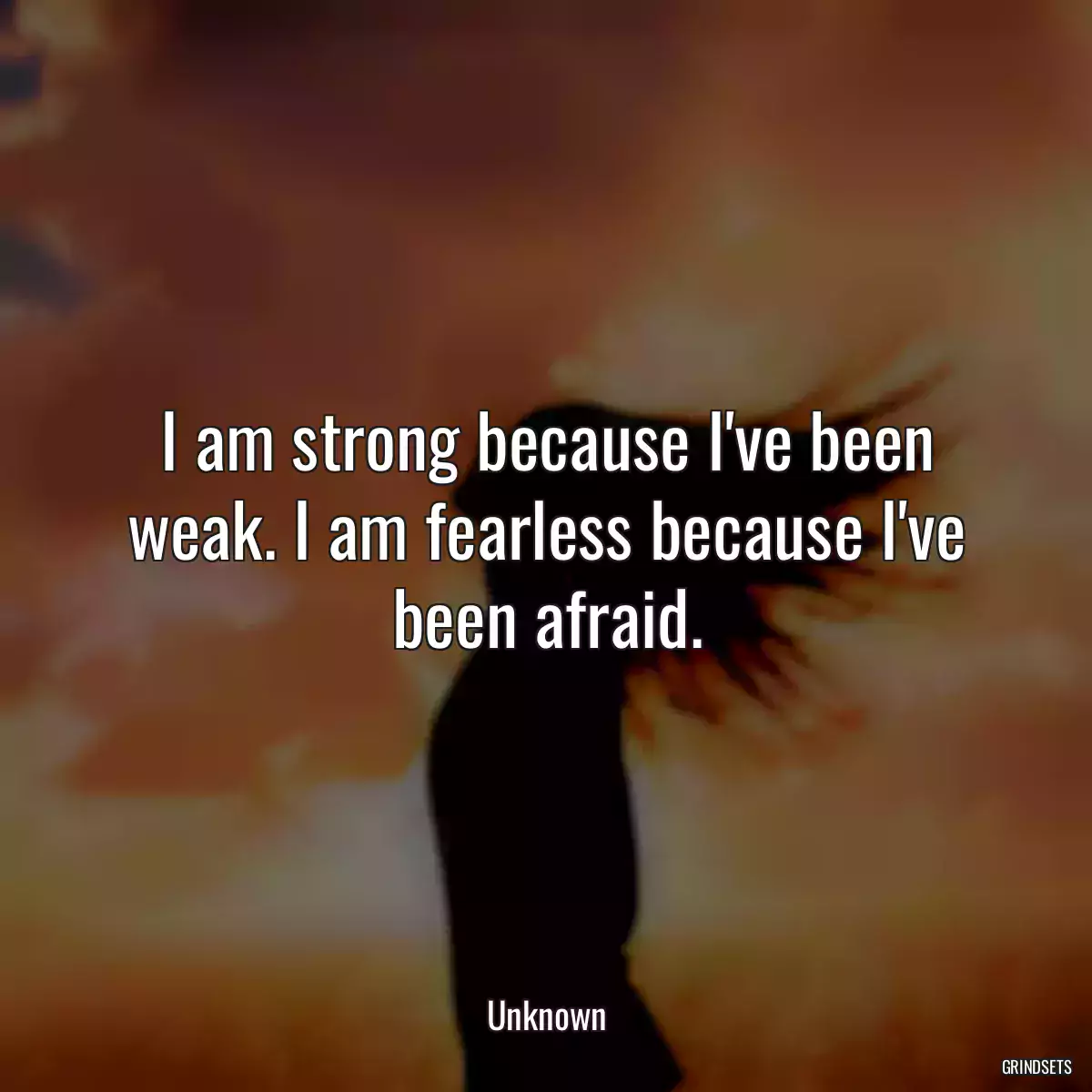 I am strong because I\'ve been weak. I am fearless because I\'ve been afraid.